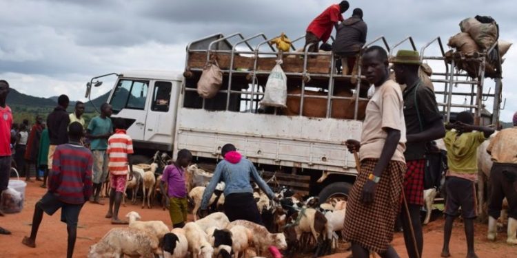 Government lifts lockdown on livestock markets but fixes strict guidelines for operators
