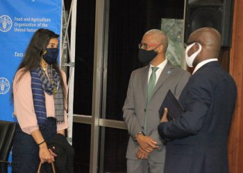 Developing the new FAO Uganda Country Programing Framework begins