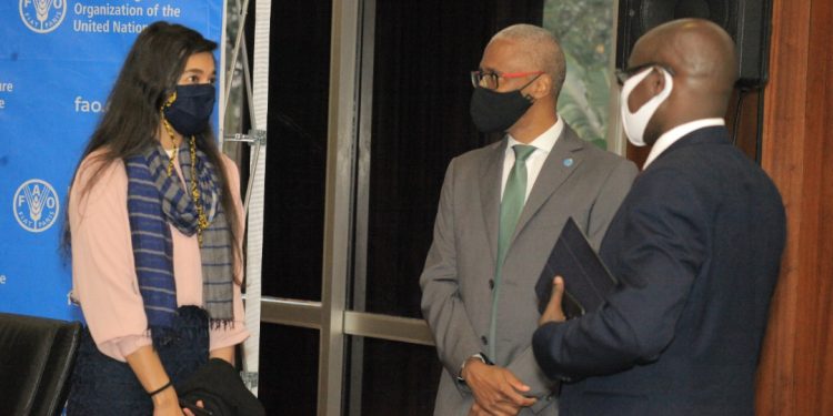 Developing the new FAO Uganda Country Programing Framework begins