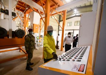 Value Addition: Uganda to reap more from Busia border grain trade