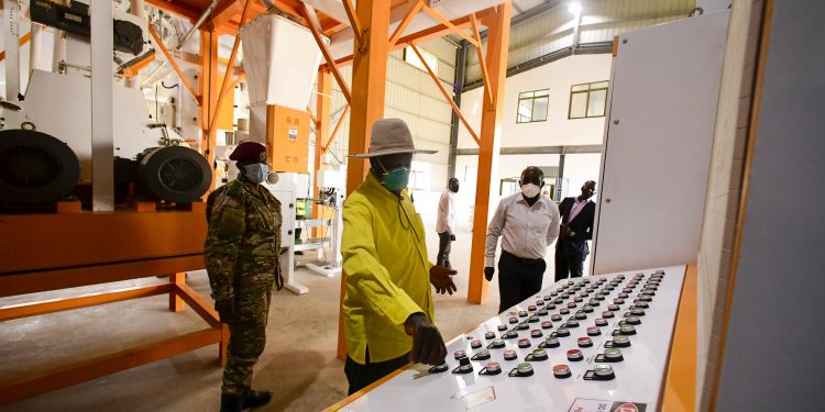 Value Addition: Uganda to reap more from Busia border grain trade