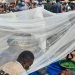 LOCKDOWN: M.O.H starts distribution of mosquito nets to market vendors