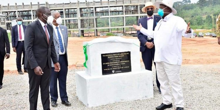 UGANDA: Green Monkey cells to boost vaccine production