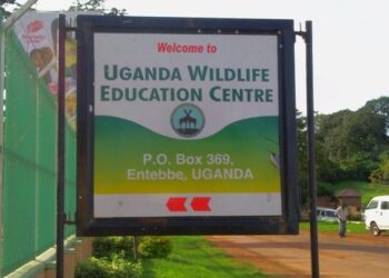 MPs question UWEC officials over UGX 1.2Bn fundraised to meet animal needs during a national lockdown to control the spread of COVID-19.