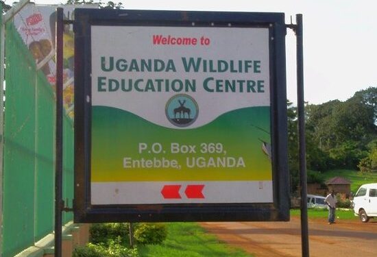 MPs question UWEC officials over UGX 1.2Bn fundraised to meet animal needs during a national lockdown to control the spread of COVID-19.