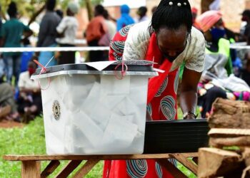 2021 elections and social media use by women