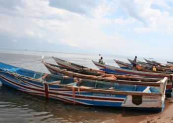 MPs protest harassment of fishing communities. Members of Parliament from fishing communities have protested harassment of fishermen & women.