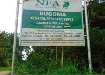 MPs probe Bugoma forest sugarcane growing. The Speaker Jacob Oulanyah has directed Members of Parliament to probe the degradation issue.