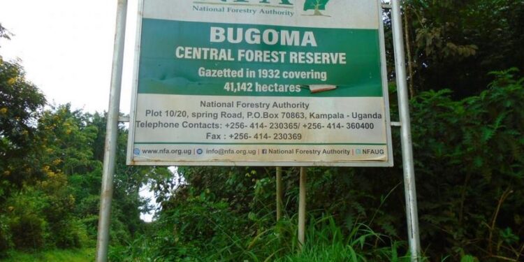 MPs probe Bugoma forest sugarcane growing. The Speaker Jacob Oulanyah has directed Members of Parliament to probe the degradation issue.