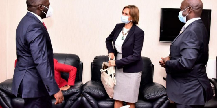 IMF UGX 3.5 Trillion COVID-19 Loan facility explained. The International Monetary Fund recently approved US $1BN loan to support Uganda.