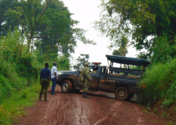 Nabanjja terminates Kyegegwa road contractor. Prime Minister Robinah Nabbanja has ordered the termination of a 42-kilometre road contract.