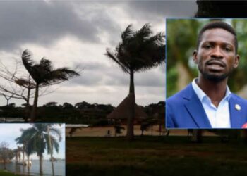 Bobi wine’s beach submerges; management counting losses