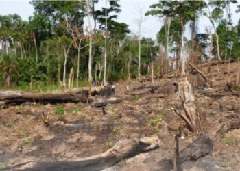 Uganda joins the world leaders summit on climate change in Glasgow