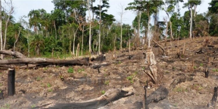 Uganda joins the world leaders summit on climate change in Glasgow