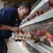 Kenya lifts ban on Uganda’s poultry products after Nairobi trade talks