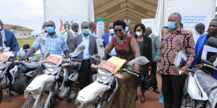 MAAIF equips target districts ahead of expected locusts invasion