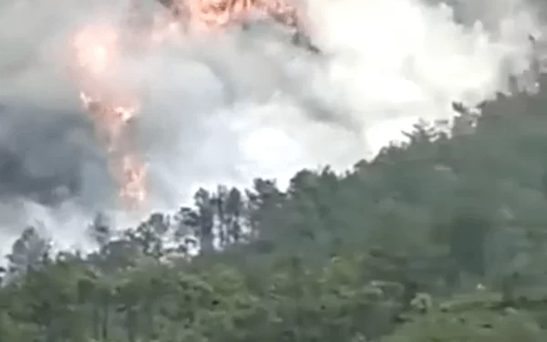 Boeing plane crashes with 132 passengers