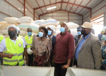 MAAIF launches a feed processing plant and hatchery at Kasolwe Stock Farm
