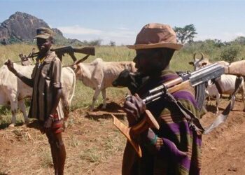 Karimojong rustlers extend their raids to Teso and Acholi. Members of Parliament urge Government to rein in.