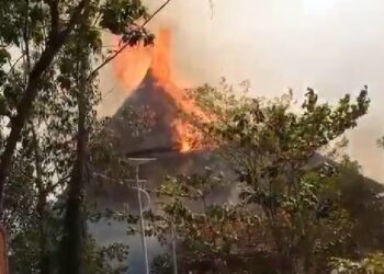 MPs reject UWA report on wildfires. The Committee on Trade, Tourism, and Industry in the Parliament of Uganda is conducting an inquiry.