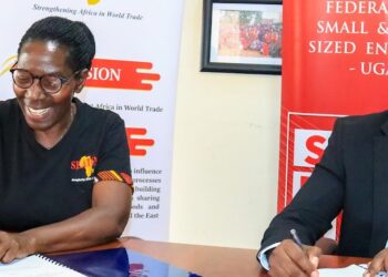 Small and Medium Enterprises Fetch Capacity in Growth and Competitiveness