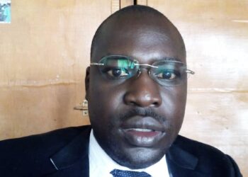 OPINION: Is The Success Of The Parish Development Model (PDM) A Responsibility Of Every Citizen? -By Gabriel Eyaru