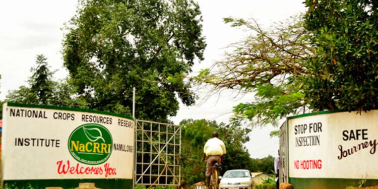 Uganda To Celebrate World Food Day 2022 (#WFD2022) At NaCRRI, Namulonge.