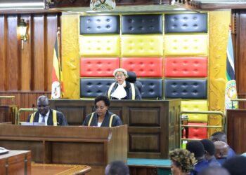 Inside the UPDF Amendment Bill 2025- What to Know!